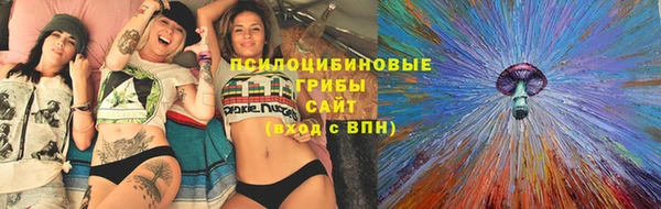прущий лед Абаза
