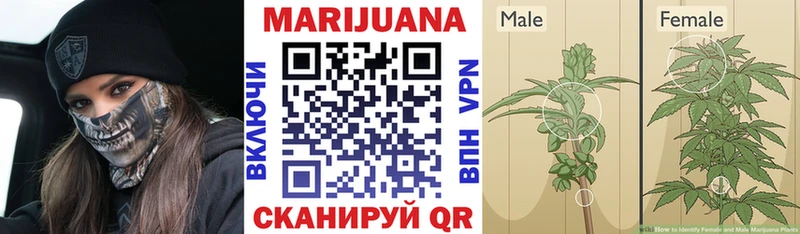 Бошки Шишки сатива  MEGA вход  Абаза 